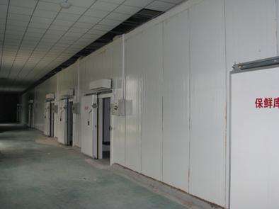 氣調庫相比較保鮮庫而言的話都有哪些特點?