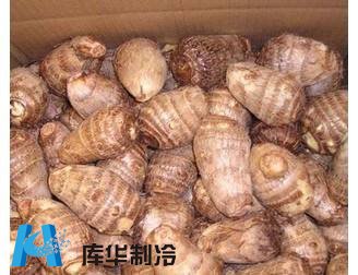 提高農(nóng)產(chǎn)品收益芋頭保鮮冷庫(kù)建造