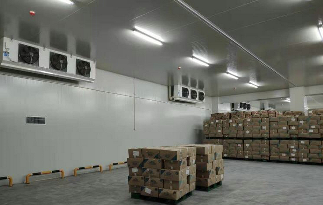 某公司堅(jiān)果冷庫、干果保鮮儲存冷庫