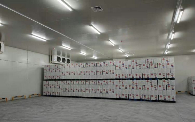 某公司堅(jiān)果冷庫、干果保鮮儲存冷庫