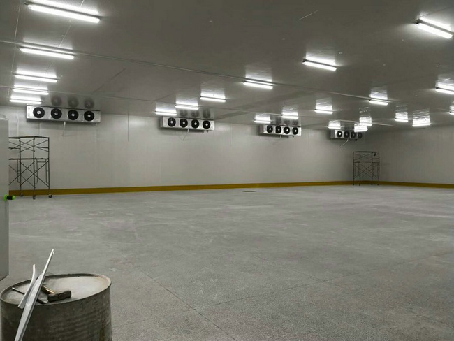 建造100平方冷凍庫需要多少錢?
